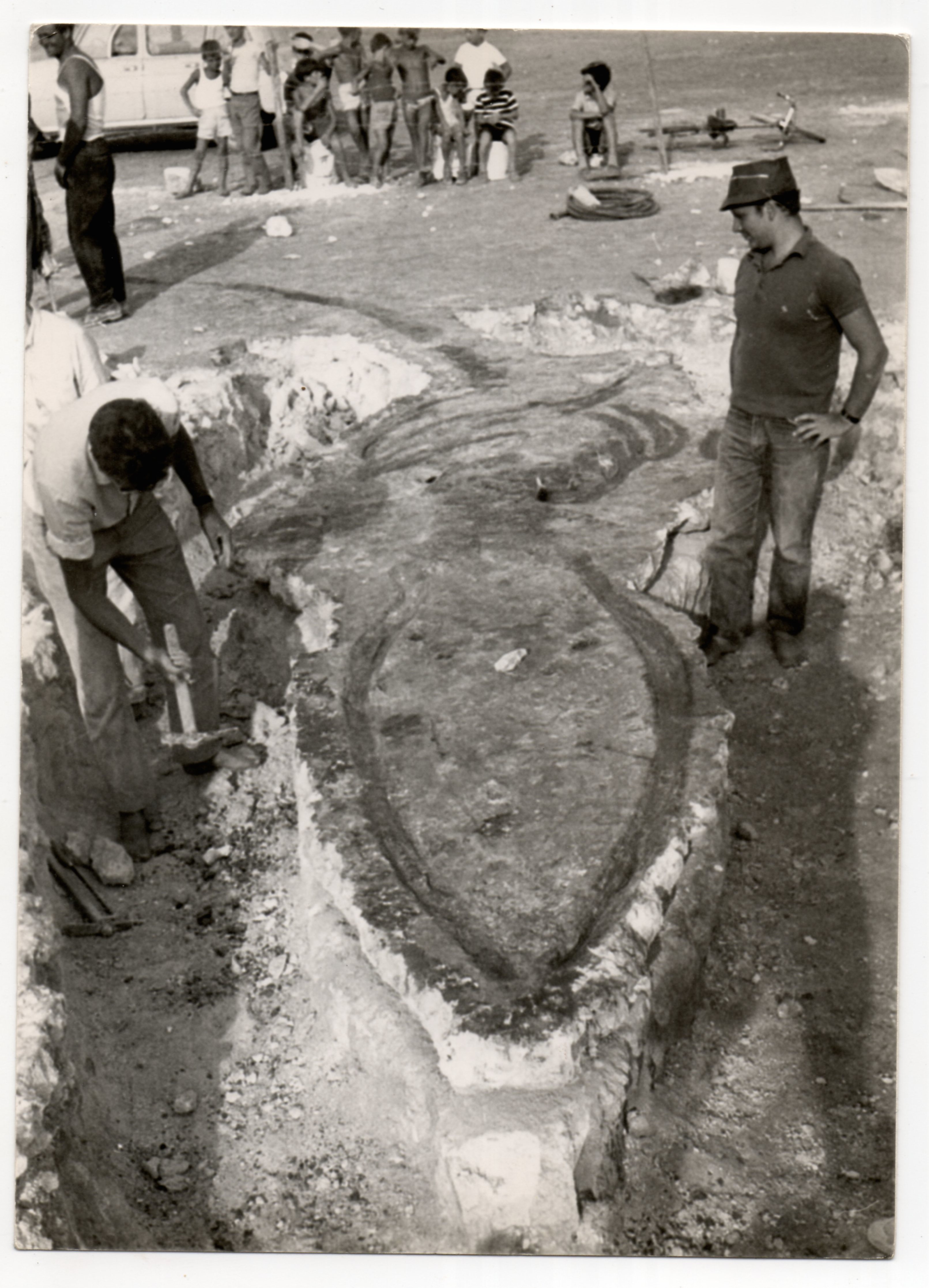 fossile-di-balena1.jpg