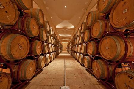 castello-monaci-wine-experience_031-450x300.jpg