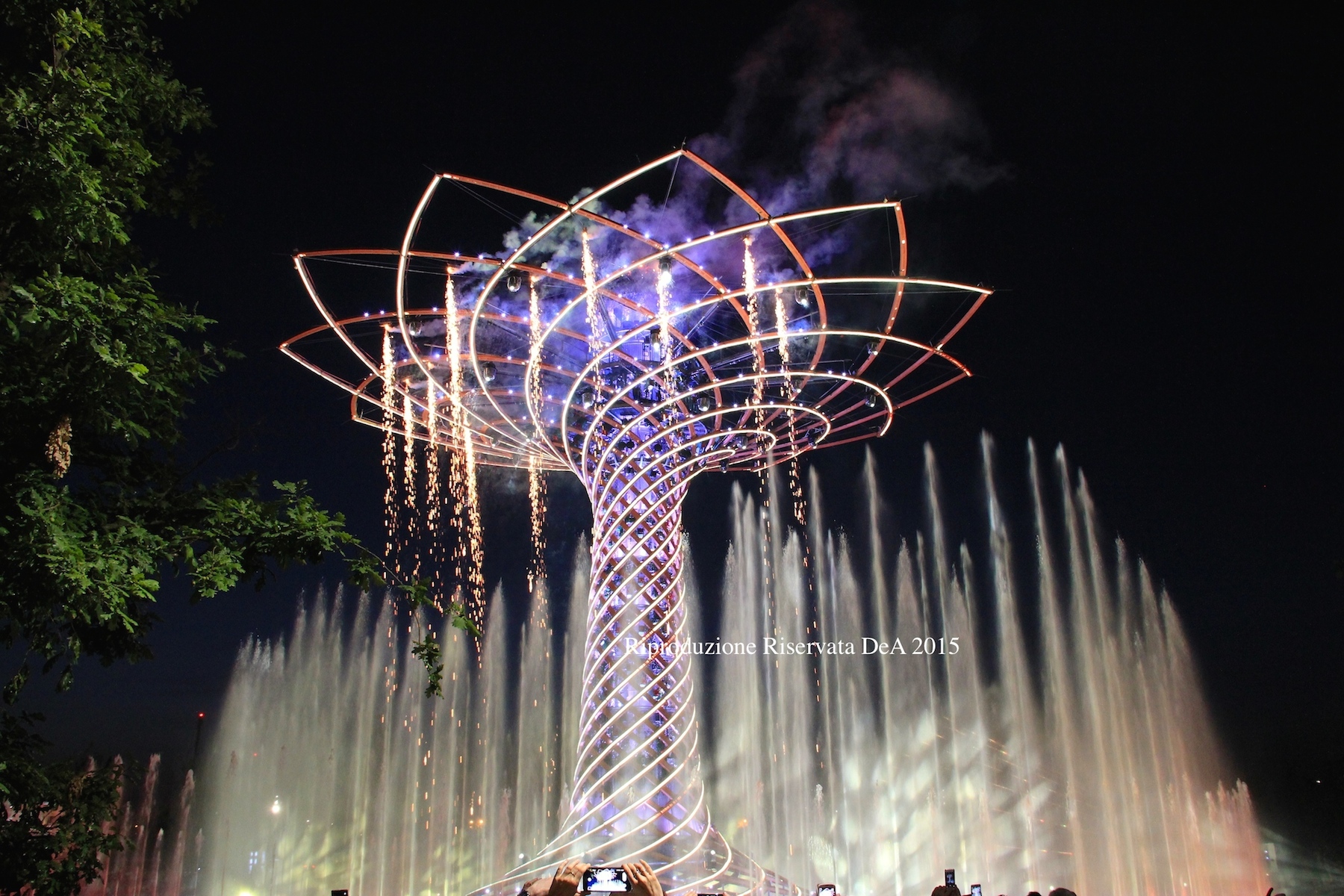 Albero-della-vita-1.JPG