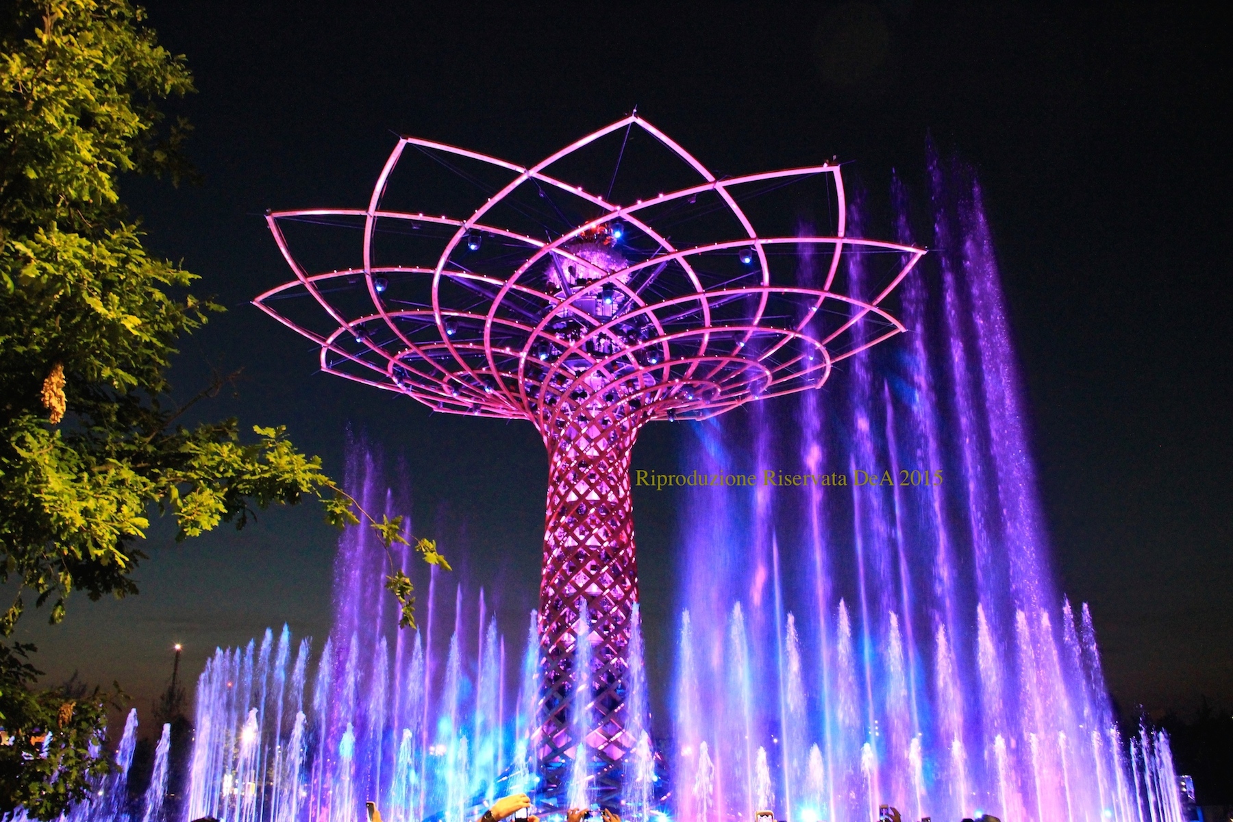 Albero-della-vita-viola.JPG