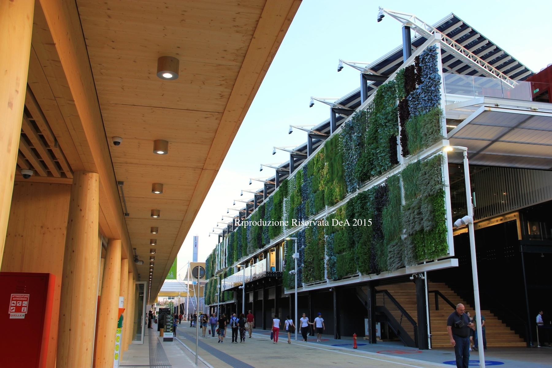 Viale.JPG